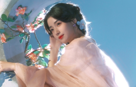 春日樱花盛开的街道